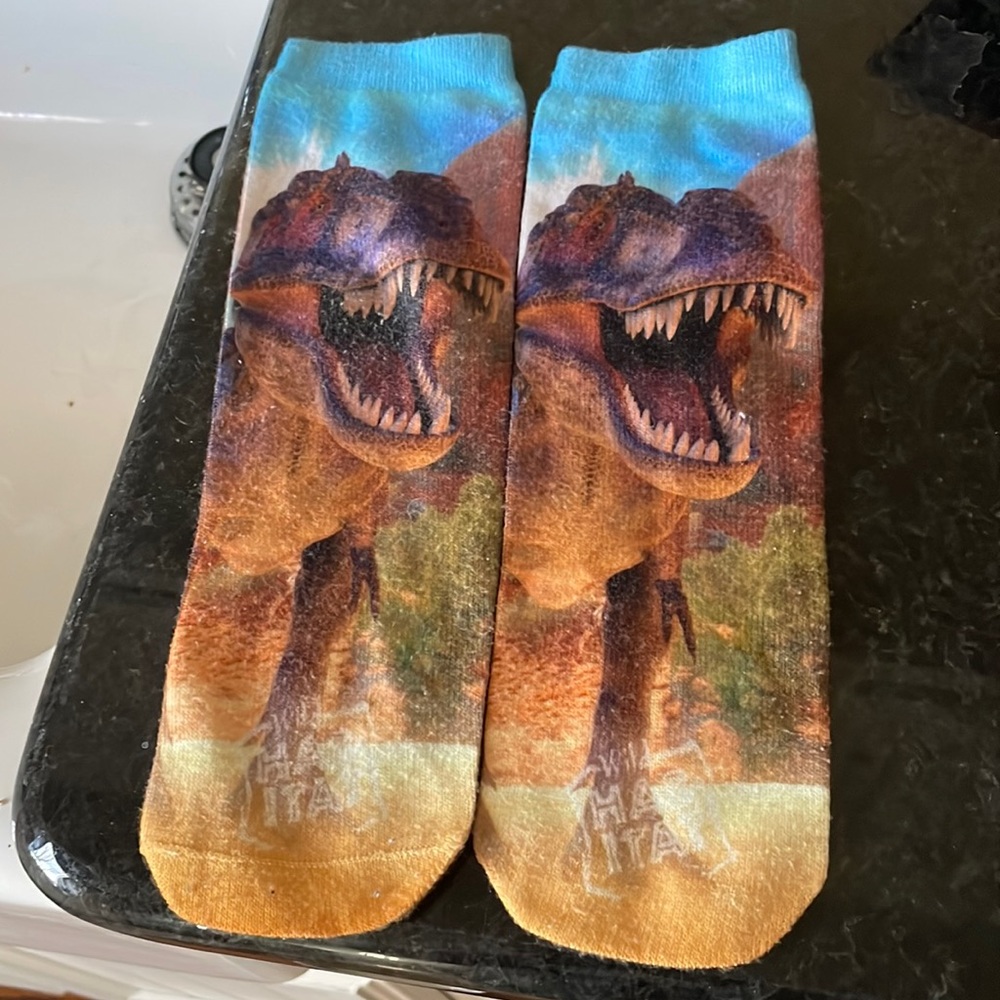 Youth Size Dino Socks